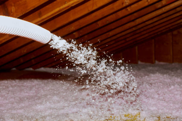 Best Attic Insulation Installation  in Pleasant View, UT