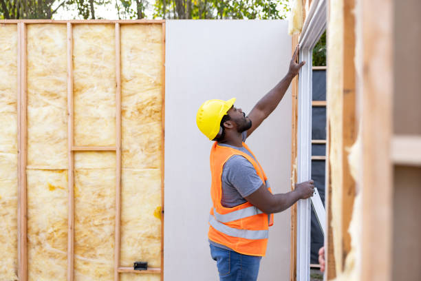 Best Insulation Removal Services  in Pleasant View, UT