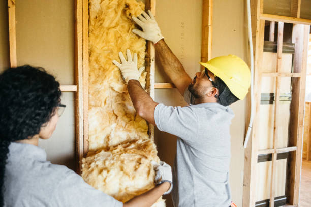 Best Crawl Space Insulation  in Pleasant View, UT