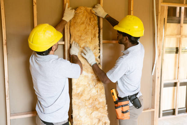 Best Garage Insulation Installation  in Pleasant View, UT