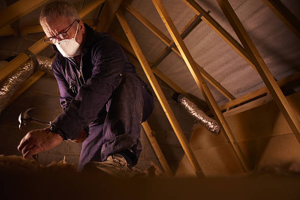 Best Spray Foam Insulation  in Pleasant View, UT